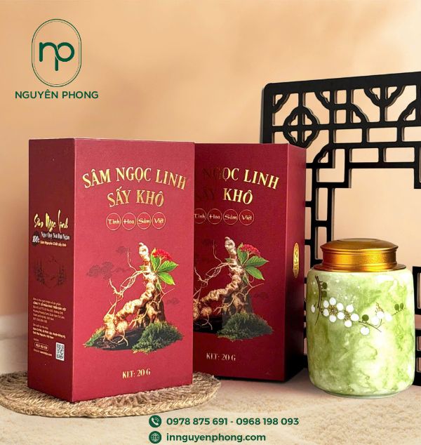 in hộp sâm 08